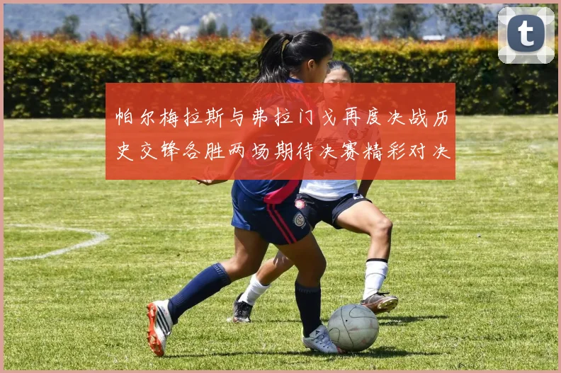 帕尔梅拉斯与弗拉门戈再度决战历史交锋各胜两场期待决赛精彩对决