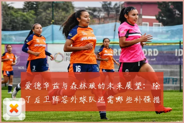 爱德华兹与森林狼的未来展望：除了后卫阵容外球队还需哪些补强措施