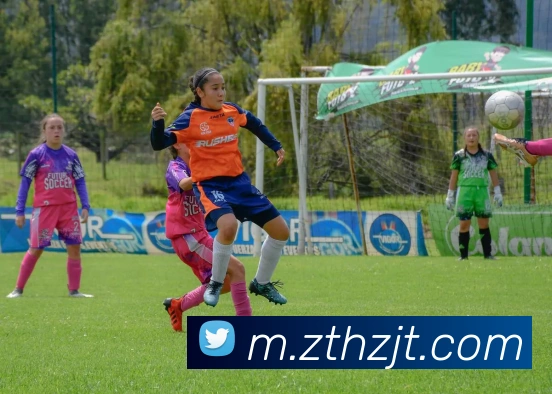 ag真人平台生态图